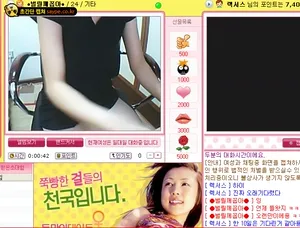 그때 그 시절 화상채팅 후원녀  국산야동 한국야동